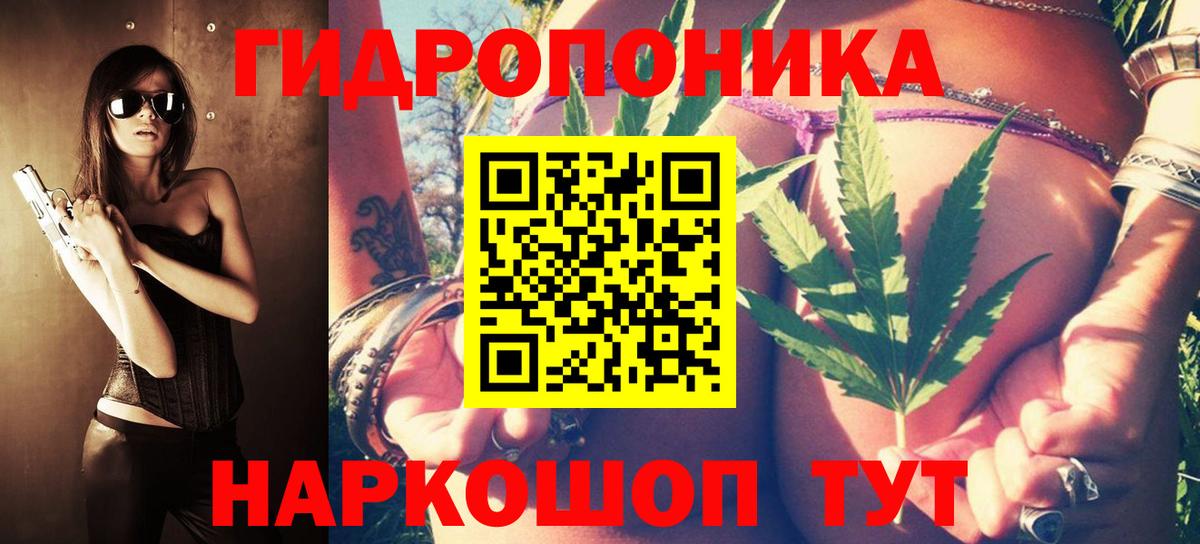 Каннабис планчик  Канабис ГИДРОПОН  Химки  Шишки марихуана Amnesia  Вход с VPN  Бошки марихуана конопля 